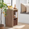 Buy 2-Cube Storage Organizer