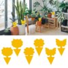 Buy 40PCS Glue Bug Catcher Aphids Insect Paper Sticky Yellow Sticky Fly Trap Paper Fruit Flies Insect Aphids Glue Catcher Bug online shopping cheap