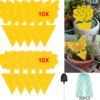 Buy 41PCS Glue Bug Catcher Aphids Insect Paper Sticky Yellow Sticky Fly Trap Paper Fruit Flies Insect Aphids Glue Catcher Bug online shopping cheap