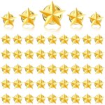 50 Pieces Star Badge Lapel Pin 4th of July Memorial Day Veterans Day Party Silve