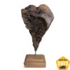 Buy Abstract Wood Sculpture Art Textured Wood Statue Hand Carved Art Modern Table Desktop Art Original Decor | FIERY HEART 21.6"x9.4" online shopping cheap