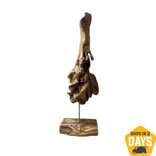 Buy Driftwood Abstract Wood Sculpture Art Wood Statue Hand Carved Art Modern Textured Table Desktop Art Original Decor | FLIPPING REALITY 34"x9" online shopping cheap