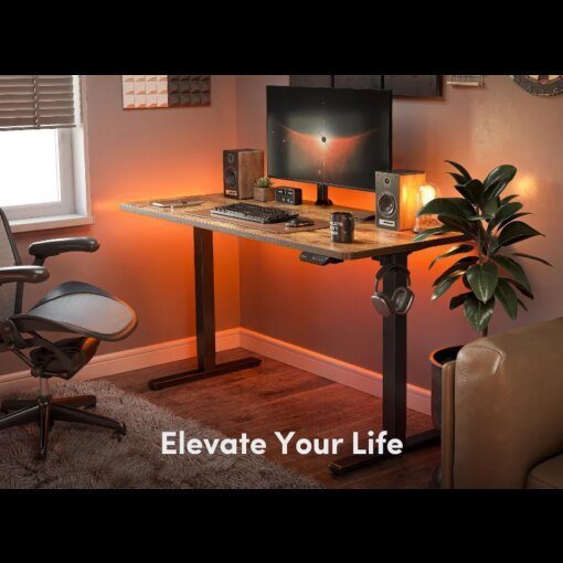 Buy FEZIBO Height Adjustable Electric Standing Desk