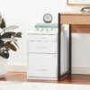 Buy Heavy Duty 3-Drawer Metal File Cabinet for Standard Files and Office Supplies Free Shipping White Finish Filing Cabinets Storage online shopping cheap
