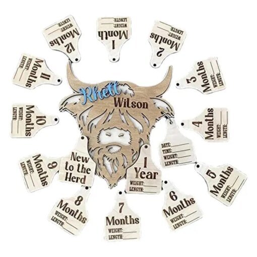 Buy Highland Cow Monthly Milestone Wooden Cow Label Monthly Infant Milestone 15 Pcs New Cow Babies Gift New To The Herd online shopping cheap