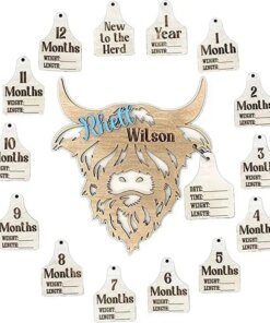 Highland Cow Monthly Milestone Wooden Highland Cow Milestone Mark Infant Record Tags 15 Pcs Rustic Wooden Herd Cattle Newborn