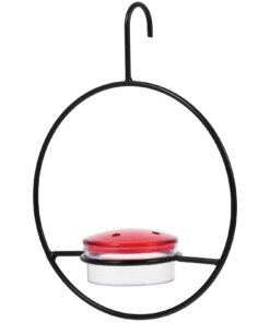 Hummingbird Water Feeding Container Hanging Feeders Type Parts Plastic Supplies Tree