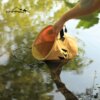 Buy Outdoor Folding Camping Bucket Water Storage Bucket Wild Water Basin Camping Bucket Washing Fruit Washing Vegetables online shopping cheap