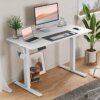 Buy SMUG Electric Standing Desk with Memory Preset