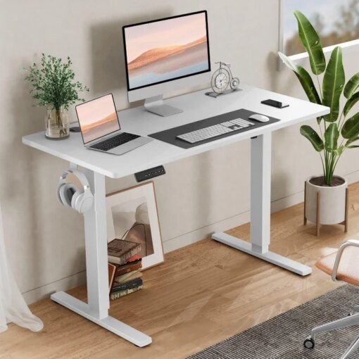 Buy SMUG Electric Standing Desk with Memory Preset