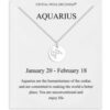 Aquarius Zodiac Star Sign Disc Necklace Created with Zircondia® Crystals buy online shopping cheap sale