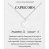 Capricorn Zodiac Star Sign Disc Necklace Created with Zircondia® Crystals buy online shopping cheap sale