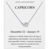 Capricorn Zodiac Star Sign Necklace Created with Zircondia® Crystals buy online shopping cheap sale