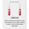 Carnelian Gemstone Drop Earrings with Quote Card buy online shopping cheap sale