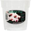 Clear Orchid pots buy online shopping cheap sale