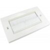 Dual Gang White Brush Plate buy online shopping cheap sale