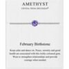 February (Amethyst) Birthstone Anklet Created with Zircondia® Crystals buy online shopping cheap sale