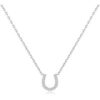 Horseshoe Necklace Created with Zircondia® Crystals