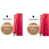 Light Blonde Beige 8-4 Schwarzkopf Royal Igora Permanent Color - 8-4 - pack of 2 buy online shopping cheap sale
