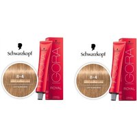 Light Blonde Beige 8-4 Schwarzkopf Royal Igora Permanent Color – 8-4 – pack of 2