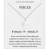 Pisces Zodiac Star Sign Disc Necklace Created with Zircondia® Crystals buy online shopping cheap sale