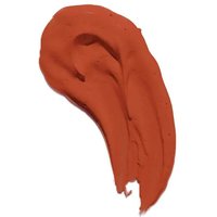 Revolution Conceal & Correct