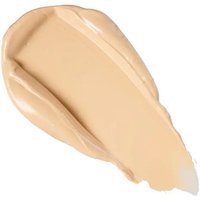 Revolution Conceal & Correct