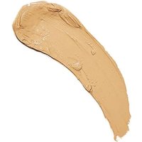Revolution Fast Base Stick Foundation
