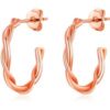 Rose Gold Plated 20mm Twisted Hoop Earrings buy online shopping cheap sale