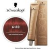 Schwarzkopf Igora Royal 6-80 Dark Blonde Red Natural Permanent Color - 1pks buy online shopping cheap sale