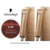 Schwarzkopf Igora Royal 6-80 Dark Blonde Red Natural Permanent Color - 2pks buy online shopping cheap sale
