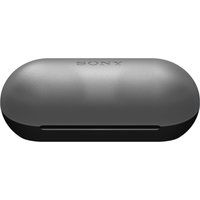 Sony WFC500B