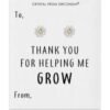 Thank You For Helping Me Grow Daisy Earrings Created with Zircondia® Crystals buy online shopping cheap sale