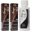 Wella Color Tango 4BB Dark Chocolate Brown Permanent Masque Haircolor - 4BB(2)+Dev(Vol.20)2oz buy online shopping cheap sale