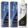 Wella Color Tango 6C Almond Permanent Masque Haircolor - 6C(2)+Dev(Vol.20)16oz buy online shopping cheap sale