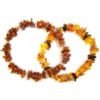 Amber Bracelet - Adult buy online shopping cheap sale