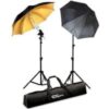 Ex-Pro Continuous Dual [2 units] Photography Lighting kit including 65w (Eqiv 280w)