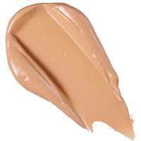 Revolution Conceal & Correct
