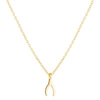 Sterling Silver Mini Wishbone Necklace