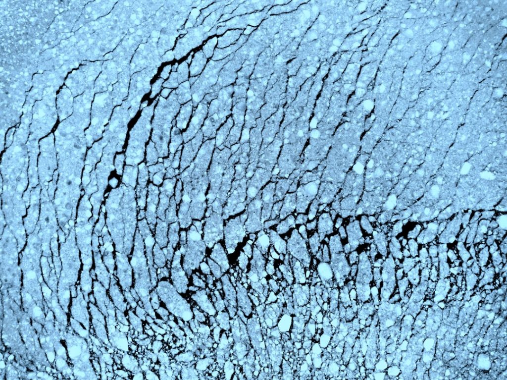 Finsk design: Tidløs skønhed og funktionalitet