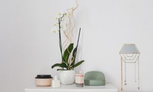 Skandinavisk boligtilbehør: En guide til enkelt og stilfuldt design